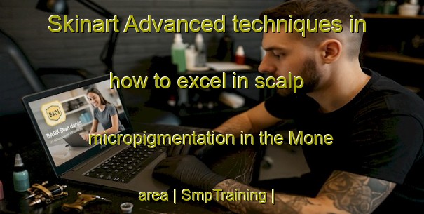 Skinart Advanced techniques in how to excel in scalp micropigmentation in the Mone area | SmpTraining | SmpClasses | SkinartTraining-Togo